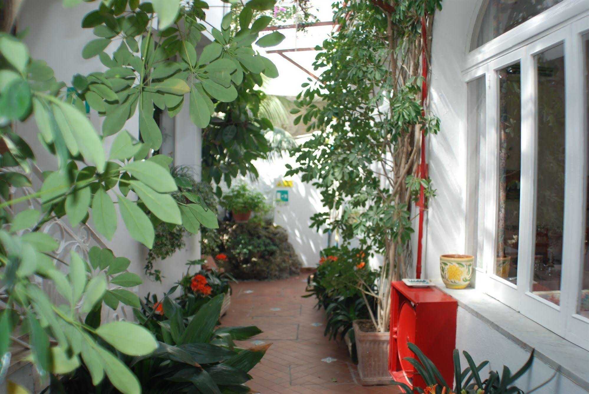 Hotel La Palma Sant'Angelo  Zewnętrze zdjęcie