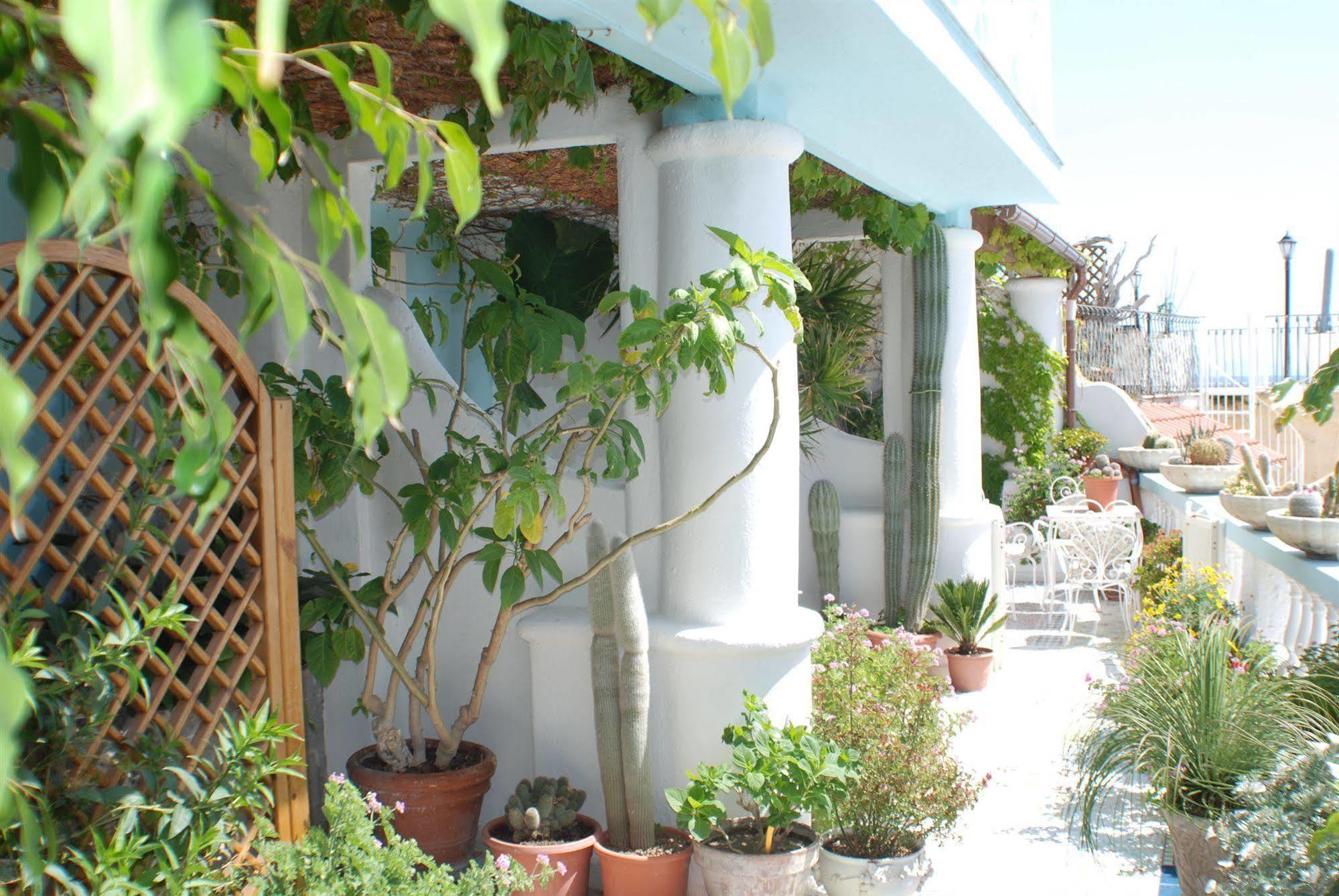 Hotel La Palma Sant'Angelo  Zewnętrze zdjęcie